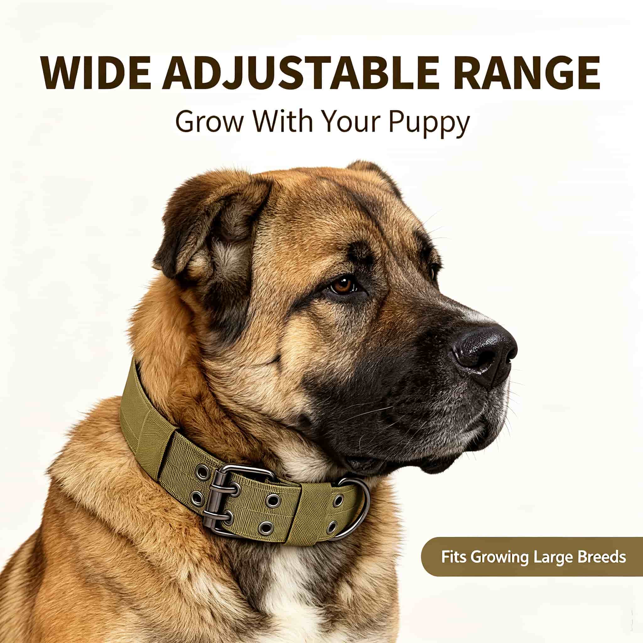 Camo Tactical Dog Collar Heavy - огляд і ціна Outdoor Hunting Dog Collar
