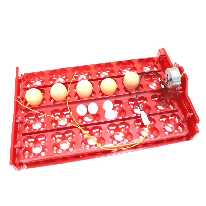 24 Eggs/96 Quail Eggs Hatching - огляд і ціна Hunting Quail