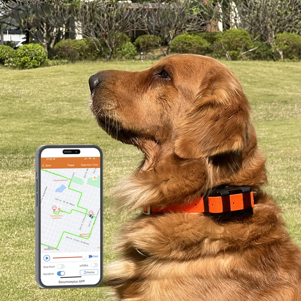 CY09A Portable Pet GPS Tracker - огляд і ціна Outdoor Hunting Dog Collar