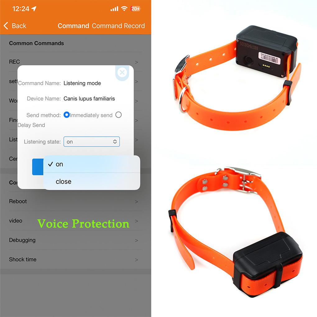 CY09A Portable Pet GPS Tracker - огляд і ціна Outdoor Hunting Dog Collar