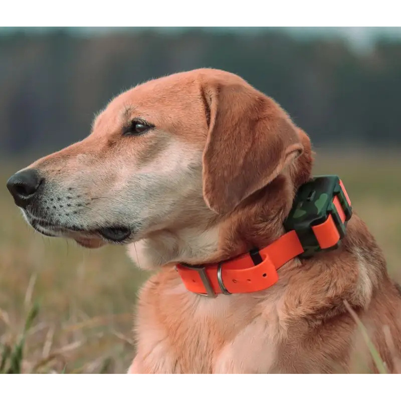 ICAR IK122M 2000mah Collar 4G  - огляд і ціна Outdoor Hunting Dog Collar